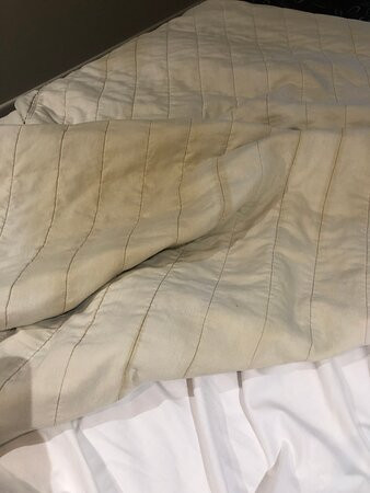 Warwick Motor Inn主图