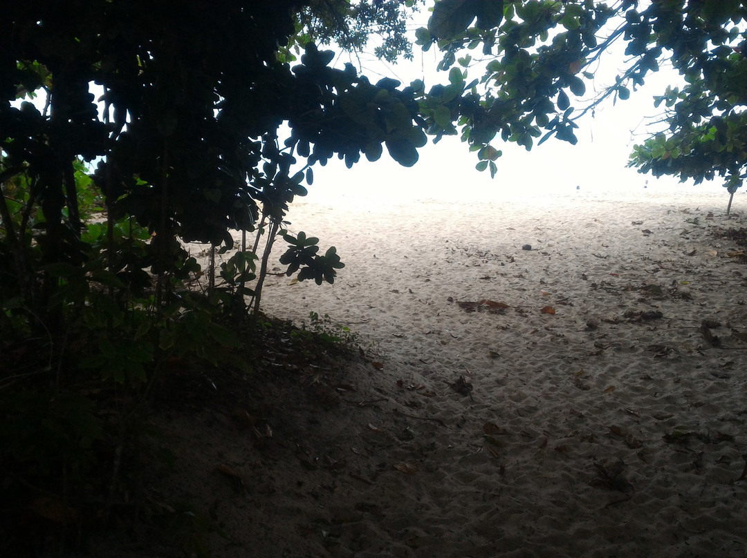 Pousada da Praia do Félix主图