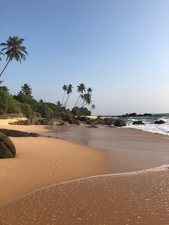 Amba Ayurveda Hotel主图