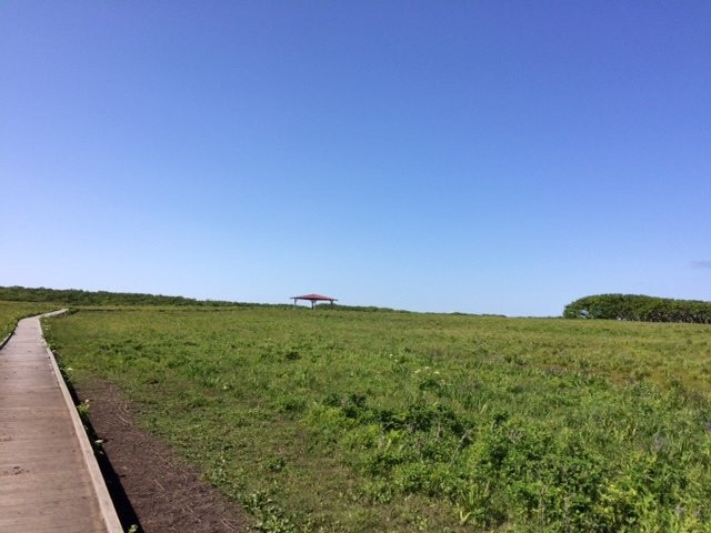 Northern Natural Flower Garden