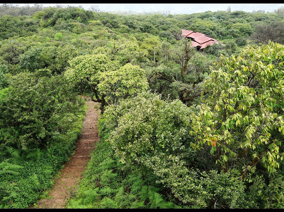 Gureghar Nature Trail景点图片