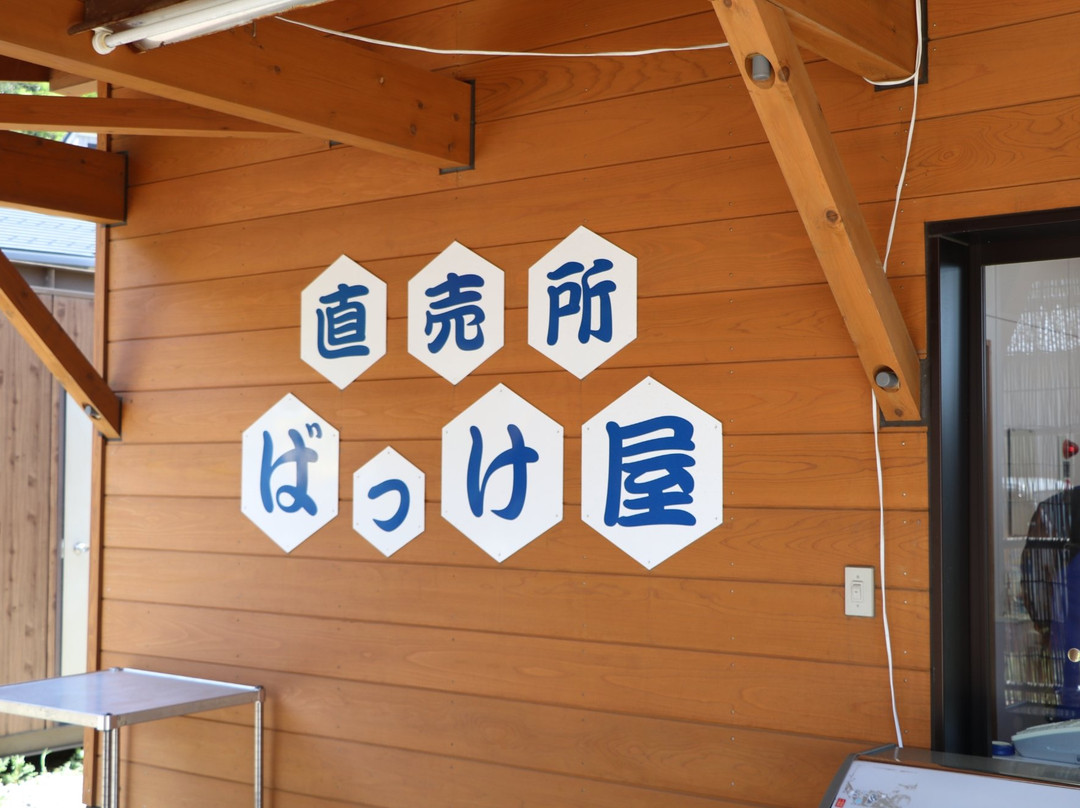 Bakkeya-粟岛浦村必去景点