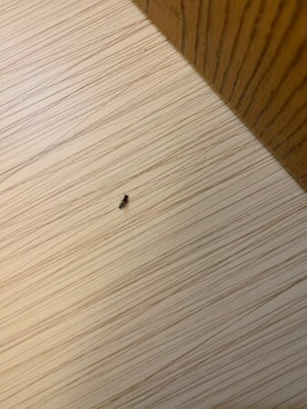 Super 8 by Wyndham Macon主图