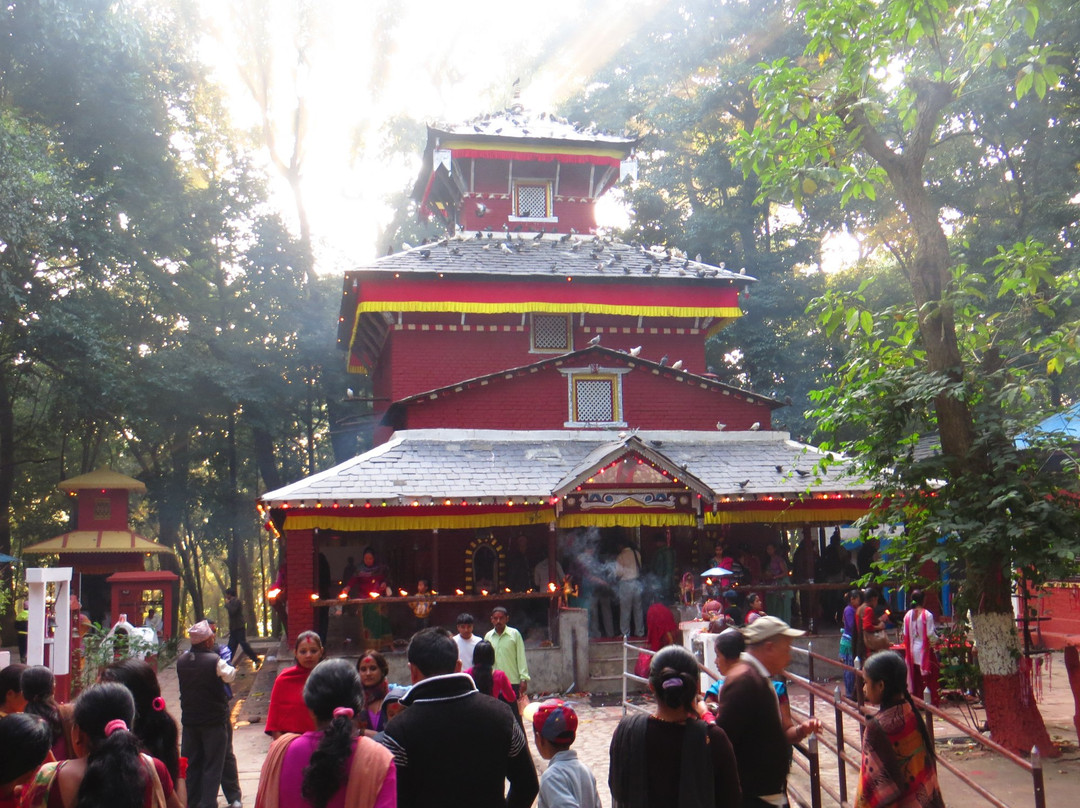 Kalika Bhagwati Temple景点图片
