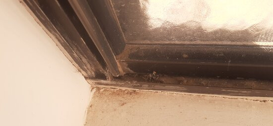 Meninya Palms Moama主图