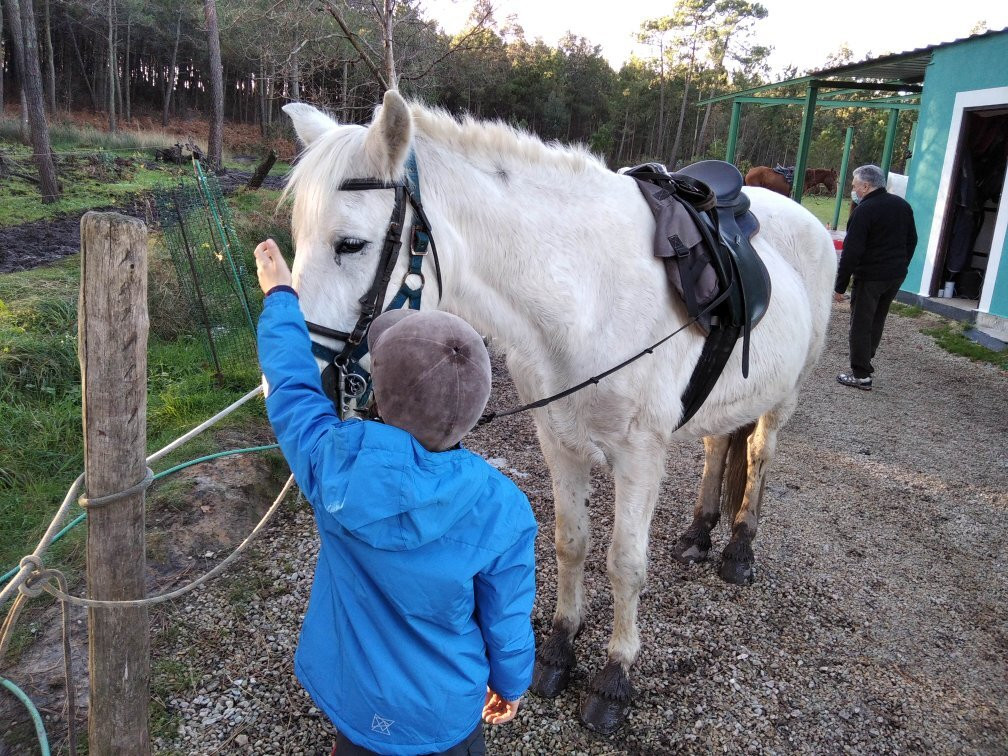 Aventuras a Caballo-Lamuno必去景点