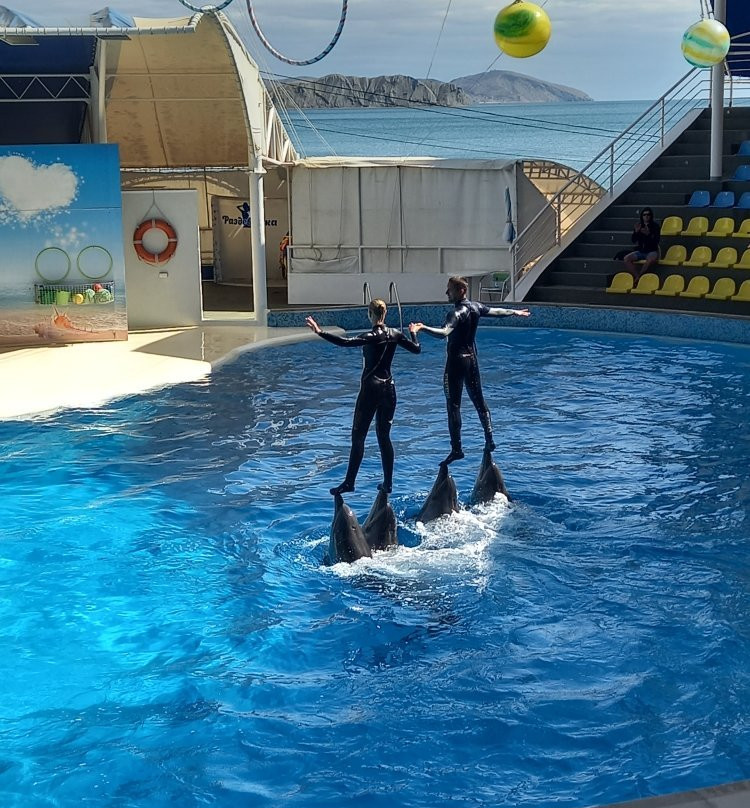 Dolphinarium Koktebel-Koktebel必去景点