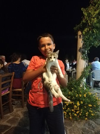 Agriturismo Predas Rujas-官方