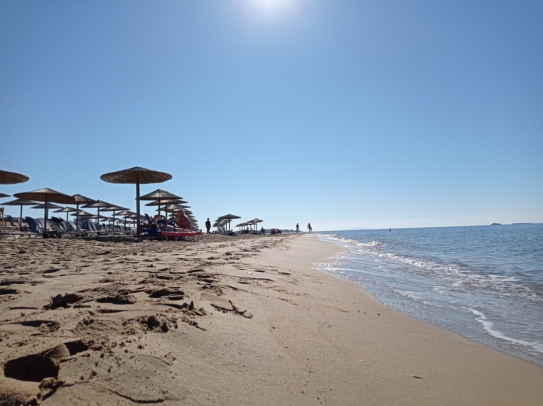 Chalikounas餐馆和美食-Tayo Beach Bar