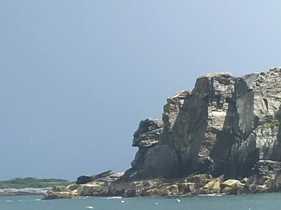 Peaks Island旅游攻略图片