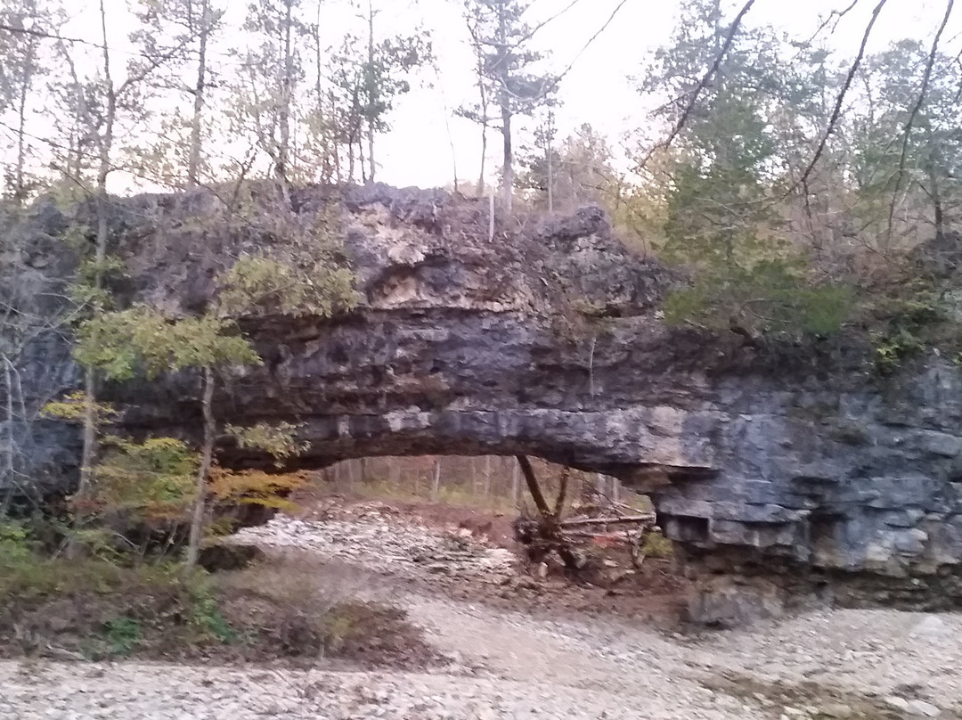 Clifty Creek Conservation Area景点图片