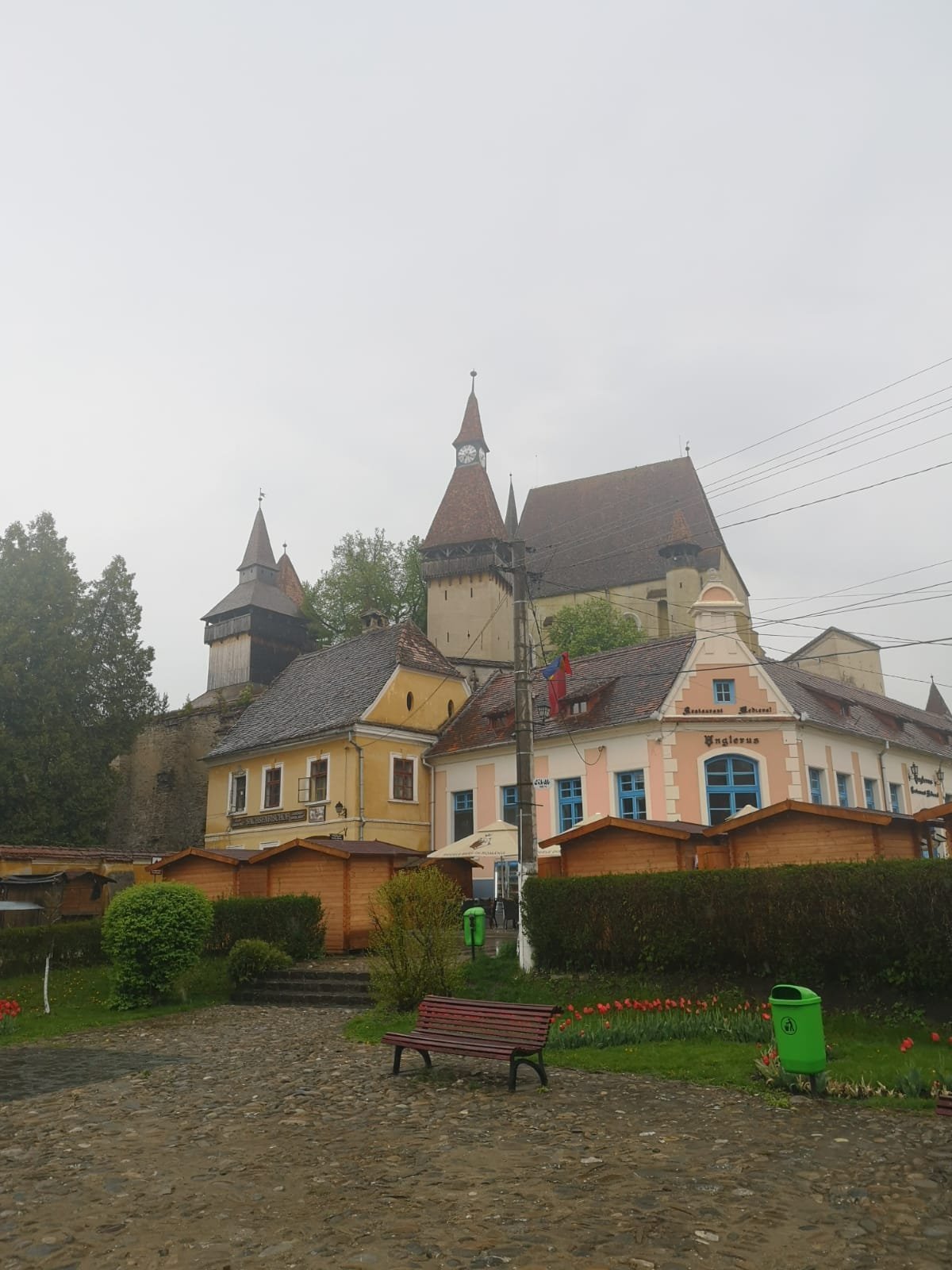 Pensiunea Nicodor-官方