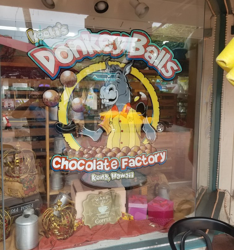 The Original Donkey Ball Store-基亚拉凯库亚必去景点