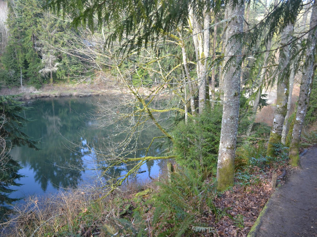 Boeing Creek Park景点图片