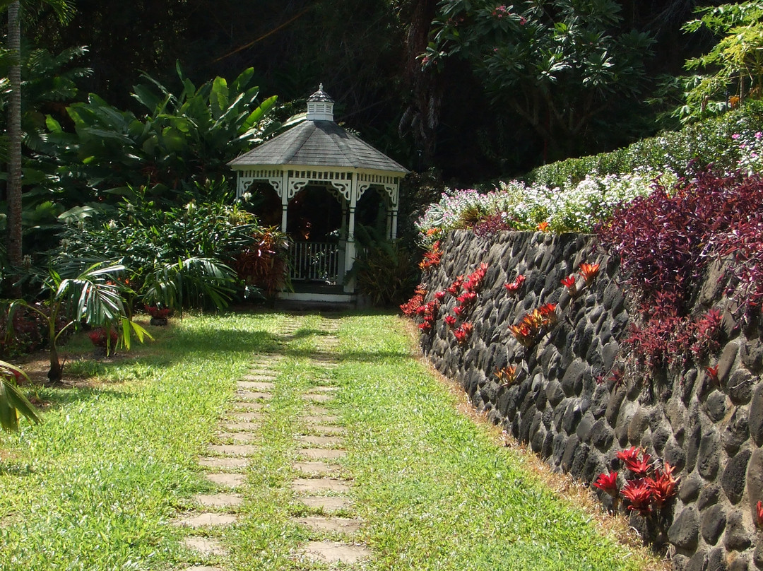 毛伊岛热带花园景点图片