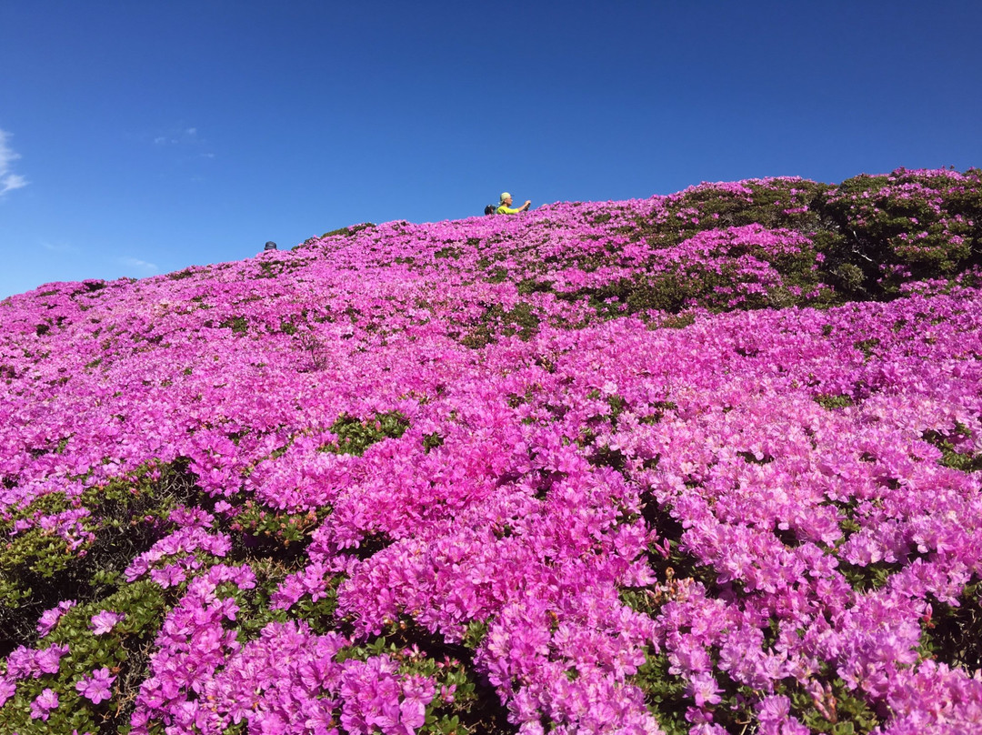 Mt. Hijidake景点图片