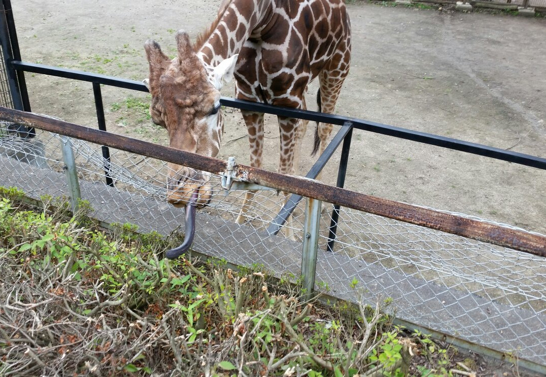 Morioka Zoological Park