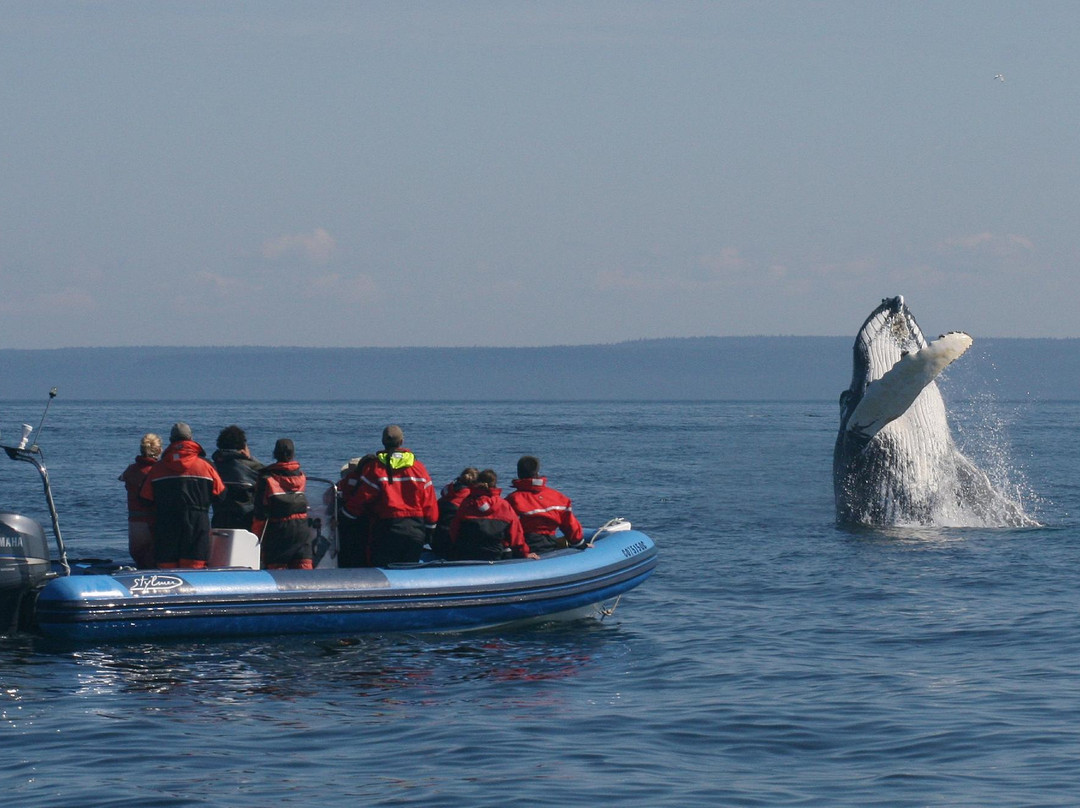 Mingan Island Cetacean Study Research Station-Longue-Pointe-de-Mingan必去景点