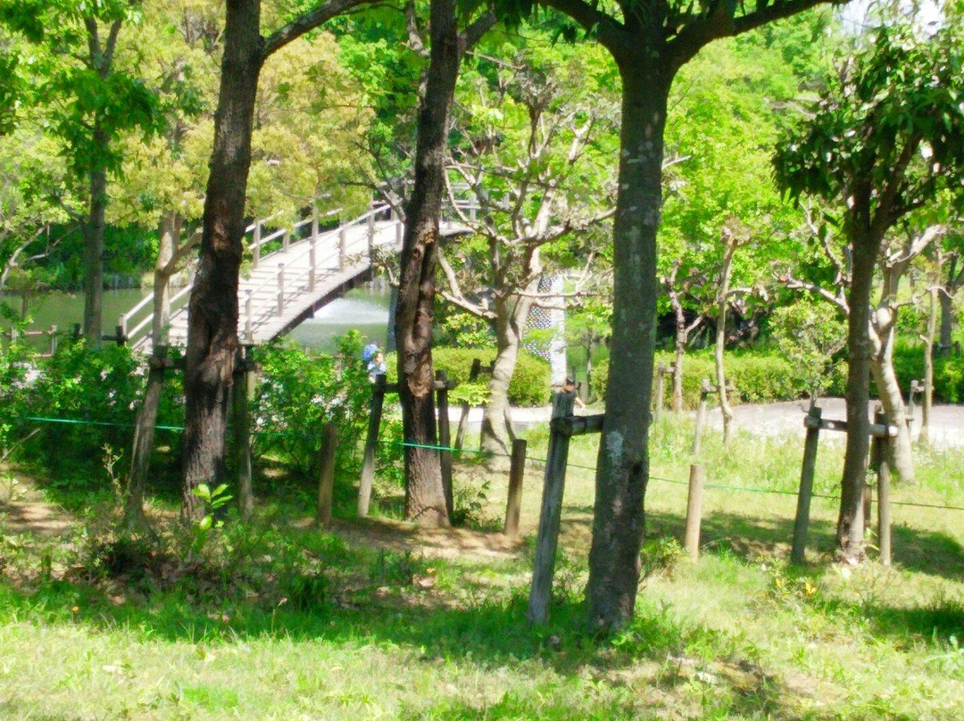 Nijozan Furusato Park景点图片
