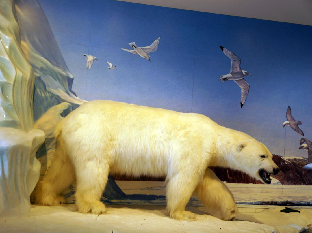 Unikkaarvik Visitor Centre-Iqaluit必去景点