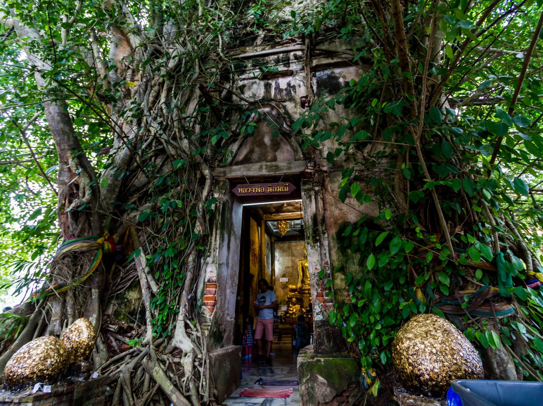 Wat Yang Ngam旅游攻略图片