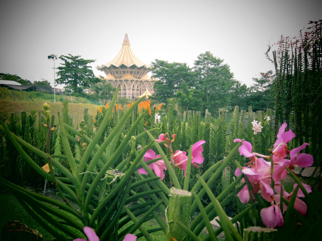 Sarawak Orchid Garden景点图片