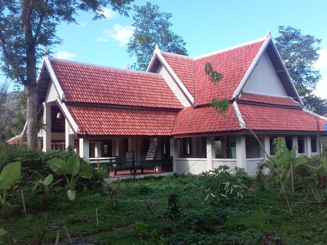 All Lao Elephant Camp-琅勃拉邦必去景点