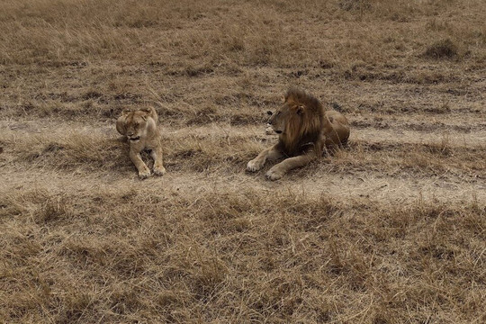 Out & About Tours-纳罗克必去景点