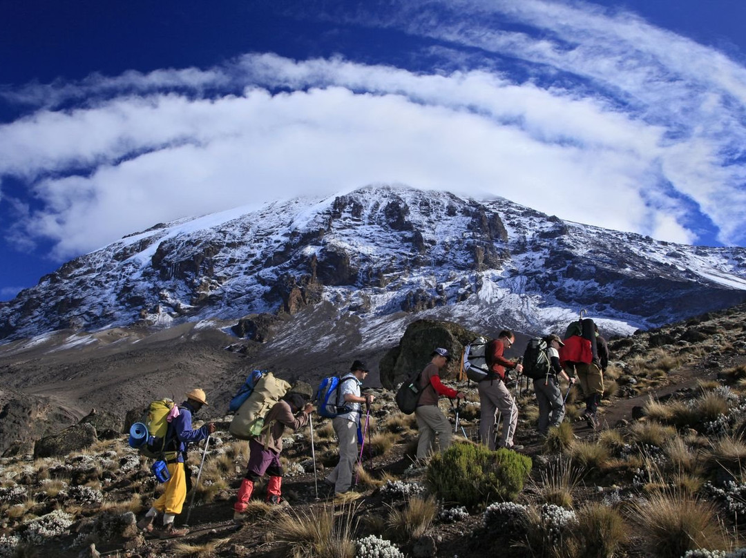 Tranquil Kilimanjaro景点图片