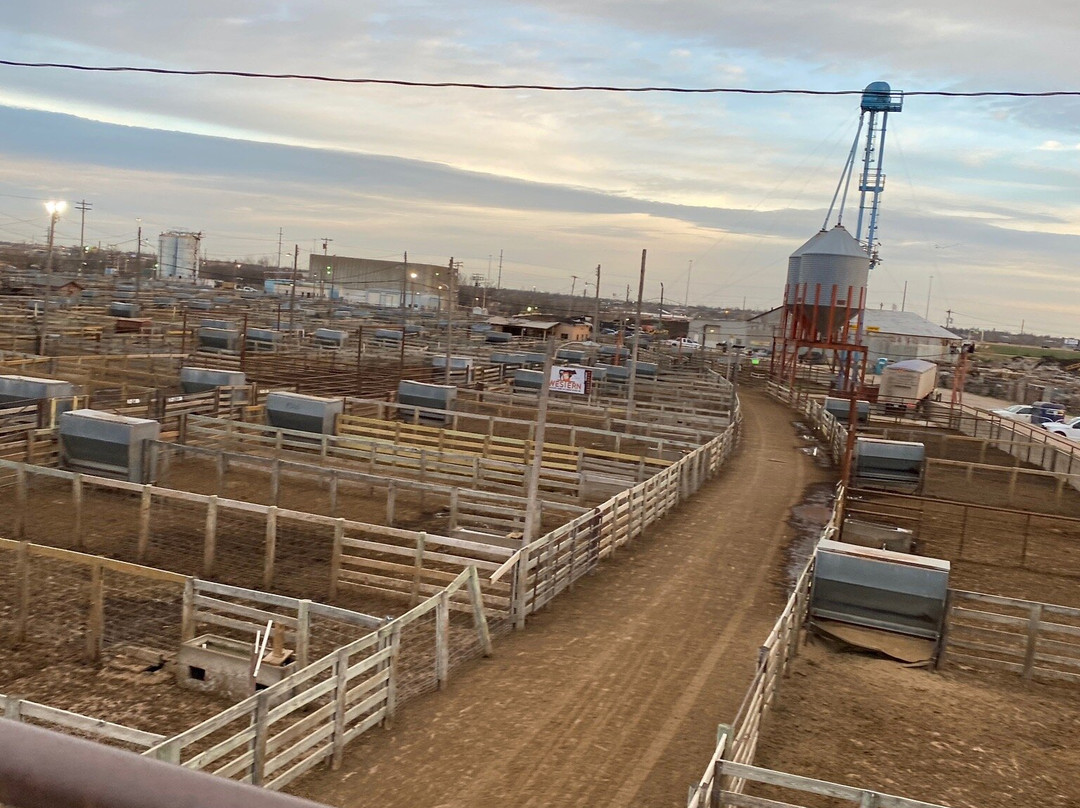 National Stockyard Exchange-俄克拉何马城必去景点