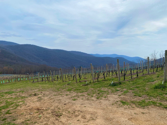 Fainting Goat Vineyards and Winery-Jasper必去景点