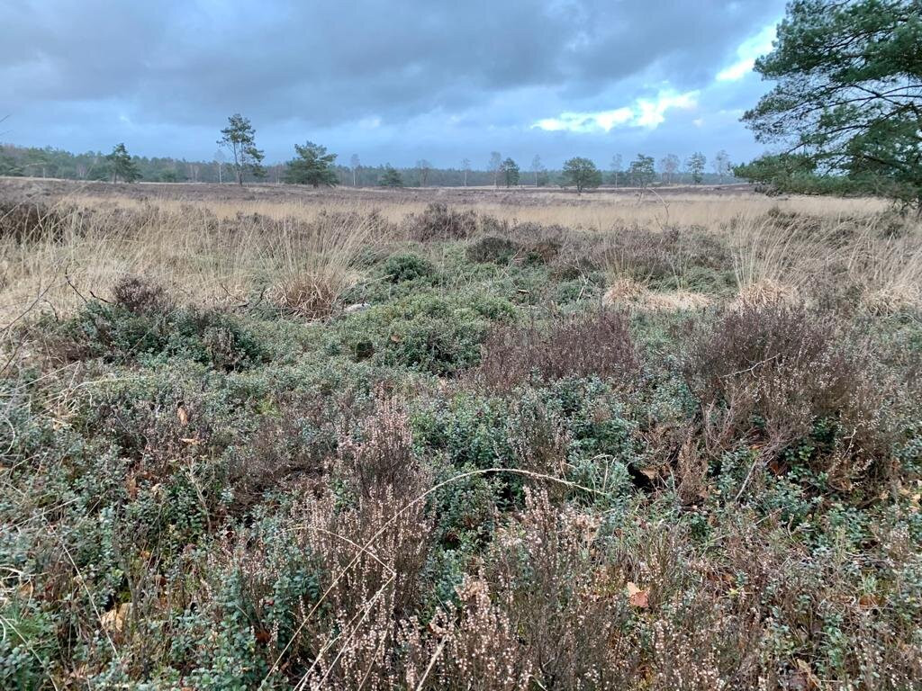 Zandenbos-Nunspeet必去景点