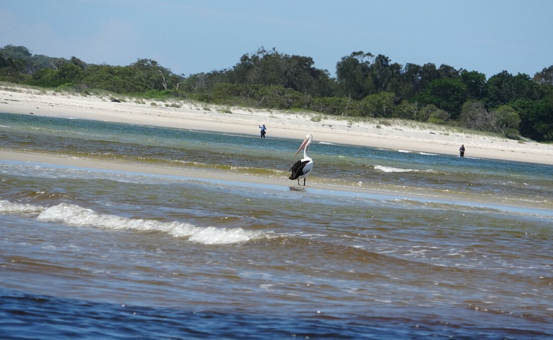 The Original Tea Gardens Ferry-尼尔森湾必去景点