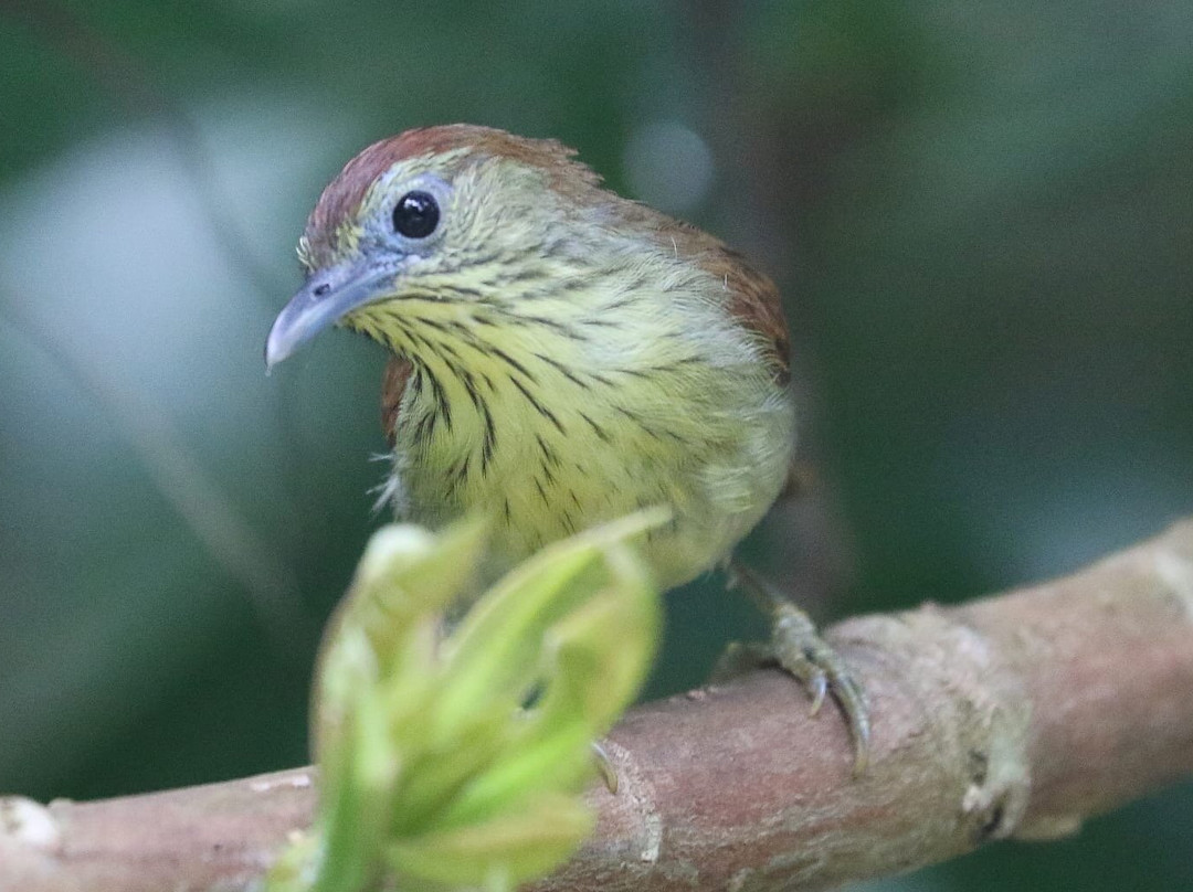 Admiralty Park-新加坡必去景点
