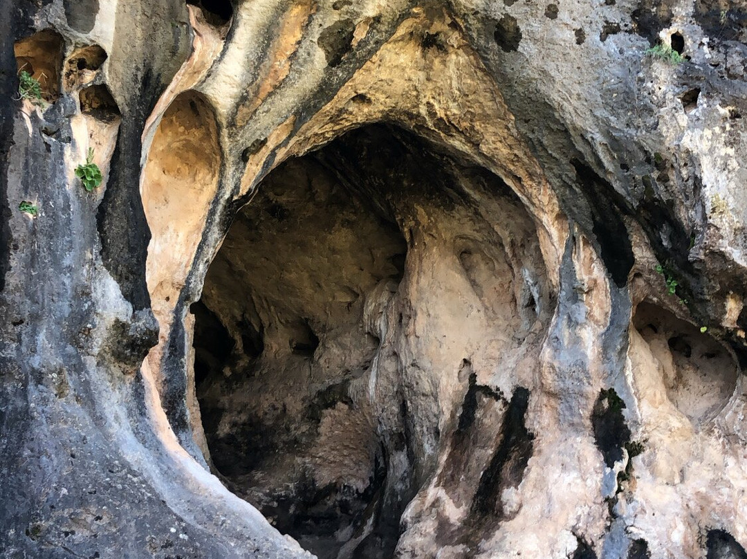 Nahal Mearot Nature Preserve-Ein Hod必去景点