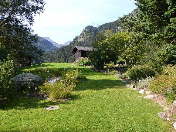 Jardin alpin La Linnaea景点图片