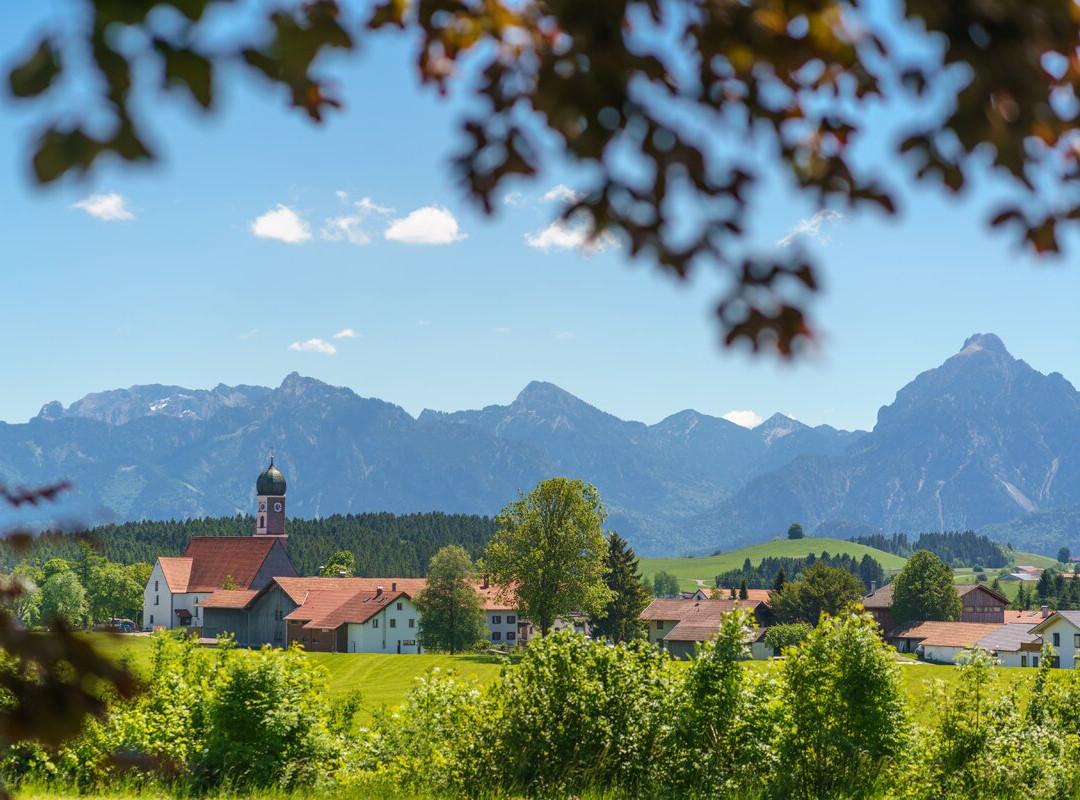 Landhotel Gockelwirt主图