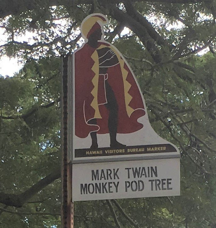 Mark Twain Monkey Pod Tree景点图片
