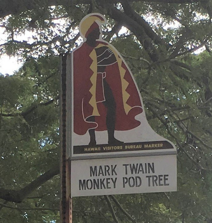 Mark Twain Monkey Pod Tree-纳勒胡必去景点