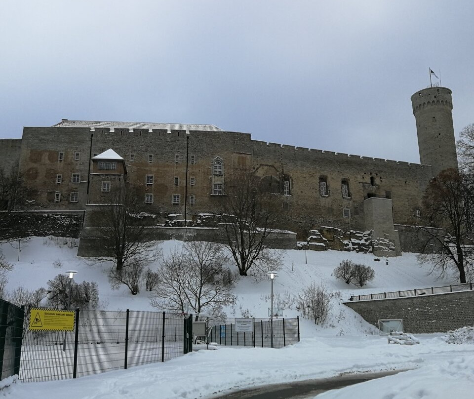 Tallinn Private Tour Guide-塔林必去景点