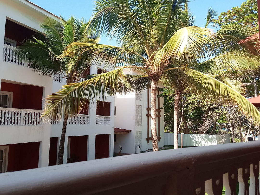 Marien Puerto Plata主图