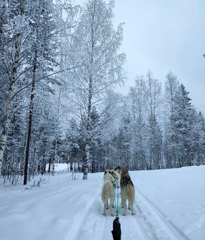 Lappland Emotions-Svansele必去景点