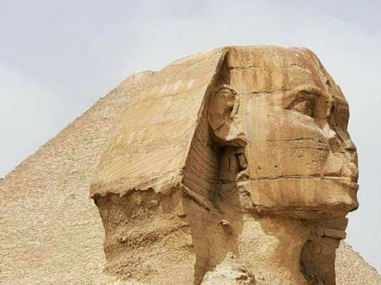 Egypt Tours For You-吉萨必去景点