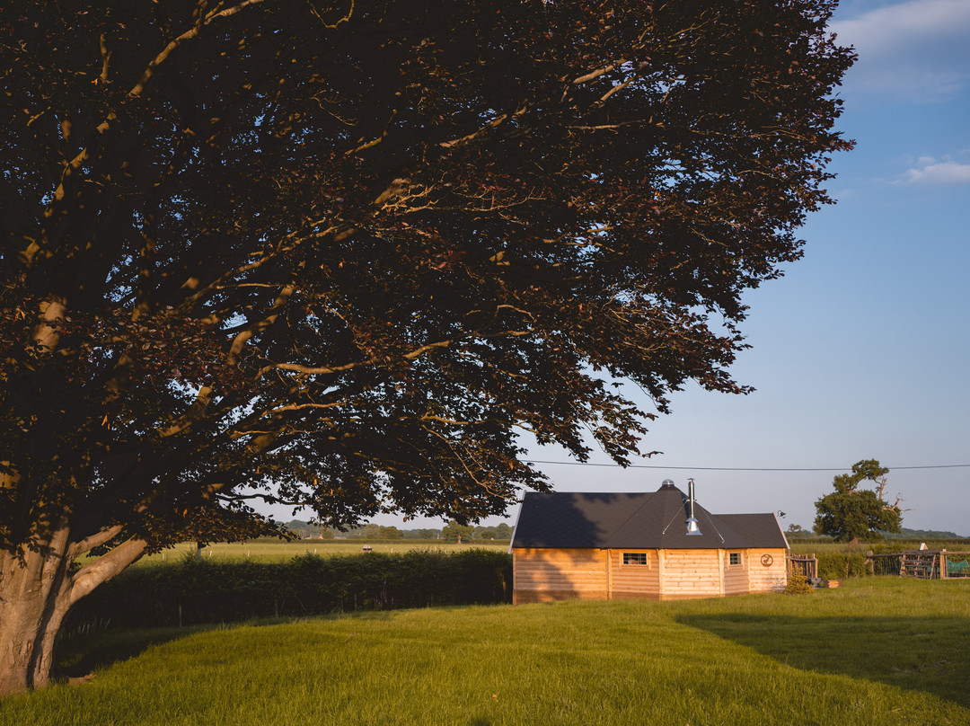 Copper Beech Glamping