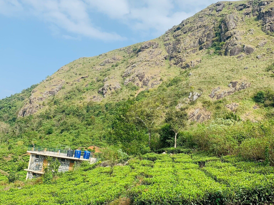 Mammoth's Cliff Jungle Resort主图