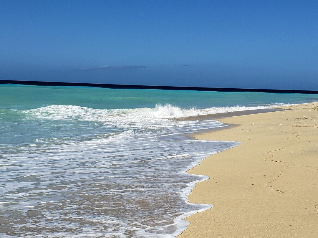 Sandy Point Beach And National Wildlife Refuge-圣克鲁斯必去景点