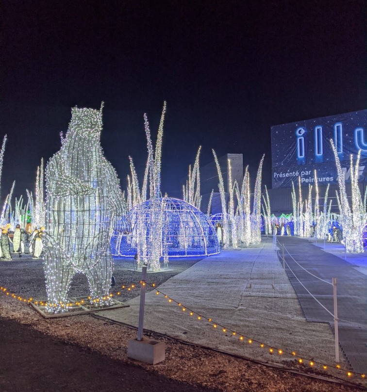 Illumi Par Cavalia-拉瓦尔必去景点