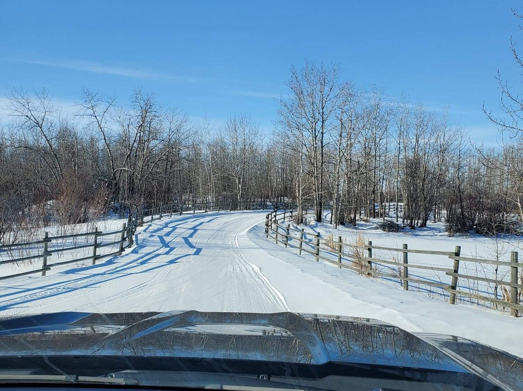 An Intimate Garden B&B主图