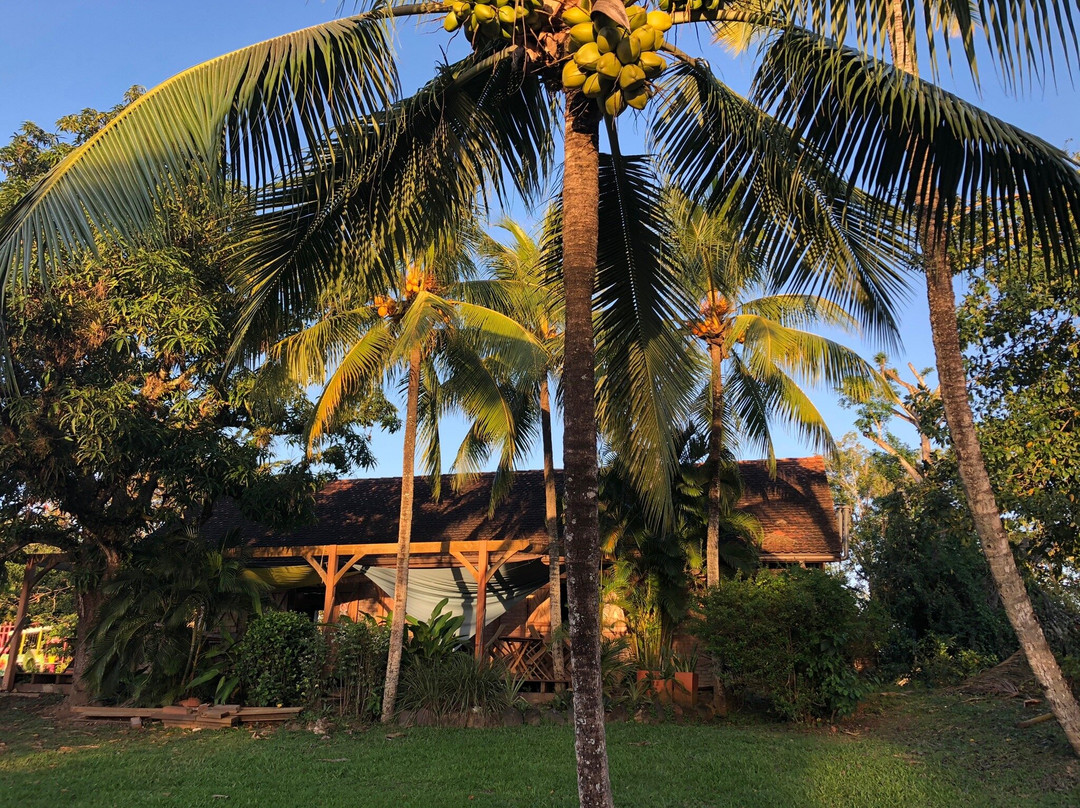 Pottery of Trois Ilets-Trois-Ilets必去景点