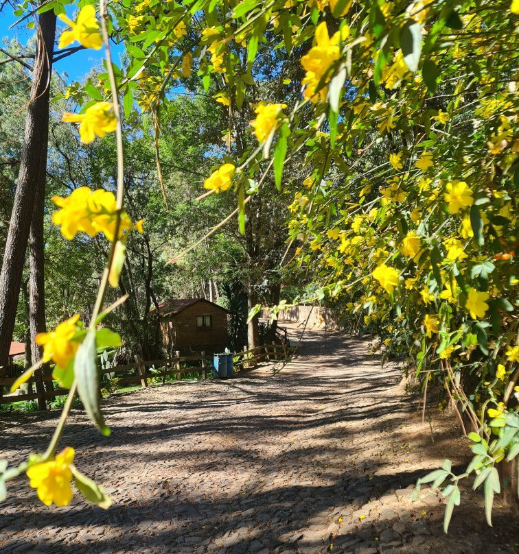 Cascada El Salto-Mazamitla必去景点